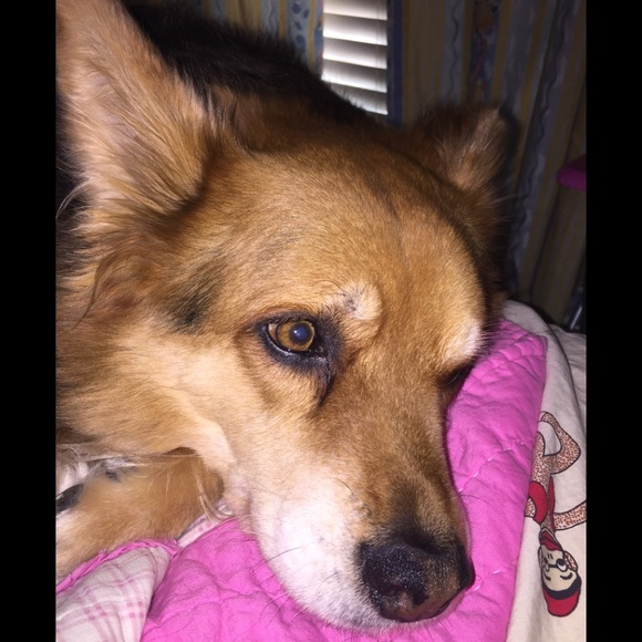 Meet your Posher, Quania - Picture 1 of 2